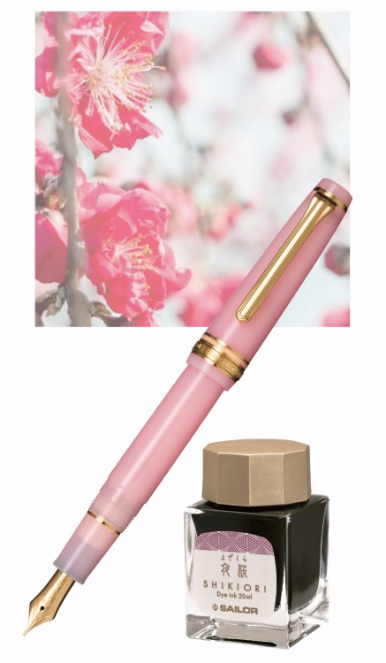 Sailor PG Slim Seasonal Festivals Momo Kpl Pióro Wieczne 14k Limit