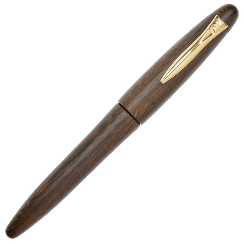 Platinum Izumo Tagayasan Pióro Wieczne Matte